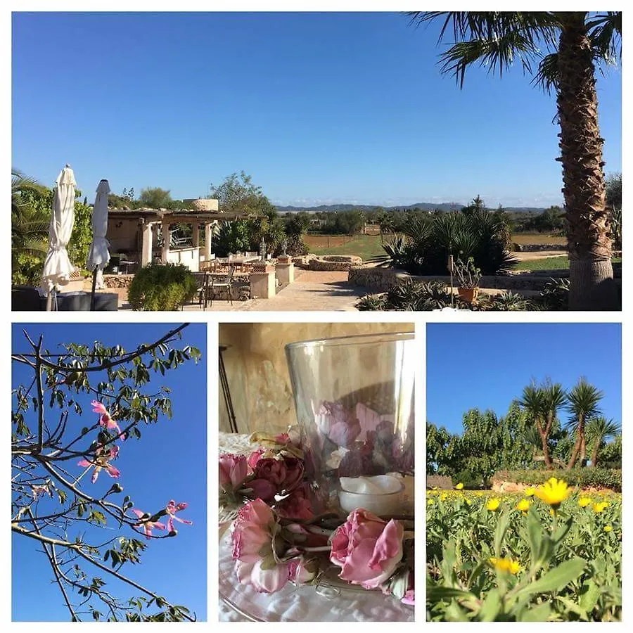 Hacienda D'Armando Bed & Breakfast Felanitx 0*,