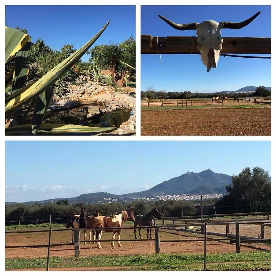 Hacienda D'Armando Bed & Breakfast Felanitx