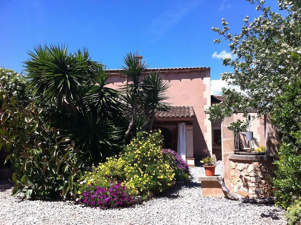Hacienda D'Armando Bed & Breakfast Felanitx İspanya