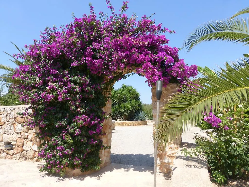 Hacienda D'Armando Bed & Breakfast Felanitx
